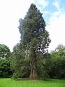 2014_06_Scotland_Day_15_Inchmahome (32)